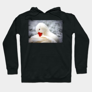 White Goose Hoodie